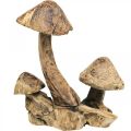 Floristik24 Mushroom group, paulownia wood, autumn decoration, wood sculpture H33cm L30cm