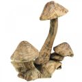 Floristik24 Mushroom group, paulownia wood, autumn decoration, wood sculpture H33cm L30cm