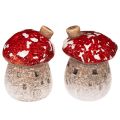 Floristik24 Mushroom House Decoration Miniature Fly Agaric 6cm 2pcs