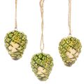 Pine cone pendants as autumn decorations for hanging, 5cm, 3 pieces | Floristik24.ie