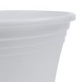 Floristik24 Plastic pot “Irys” white Ø19cm H16cm, 1pc