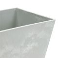 Floristik24 Square plastic bowl gray 20.5cm x 13.5cm H10.5cm