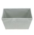 Floristik24 Square plastic bowl gray 20.5cm x 13.5cm H10.5cm