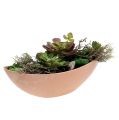 Floristik24 Decorative bowl light green 39cm x 13cm H13cm, 1p