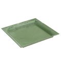 Floristik24 Plastic plate green square 26cm x 26cm