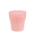 Floristik24 Plastic pot pink Ø11.5cm H12.5cm 1p