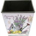 Plant pot lavender motif, square decorative pot, plastic cachepot H13cm W13.5cm