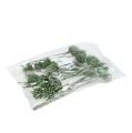 Plumosum 1 Green frosted 25pcs