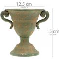 Floristik24 Metal amphora, plant cup, cup with handles Ø12.5cm H15cm