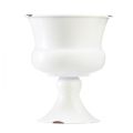 Floristik24 Cup Vase Decoration Cup White Rust Ø13.5cm H15cm Shabby Chic