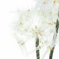 Floristik24 Artificial meadow flower giant dandelion white 57cm