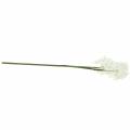 Floristik24 Artificial meadow flower giant dandelion white 57cm