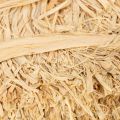Natural raffia bundles for floristry and gift wrapping, 1kg | Floristik24.ie