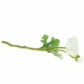 Floristik24 Artificial flower ranunculus with blossom and bud white H34cm