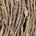 Decorative wreath, rattan branches, white washed, for creative design, 50cm | Floristik24.ie
