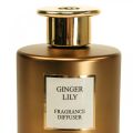 Floristik24 Room fragrance diffuser fragrance sticks Ginger Lily 150ml