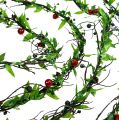 Floristik24 Vine garland with berries 3m
