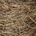 Vine wreath, untreated, round, natural wreath for crafting, 45cm | Floristik24.ie