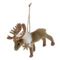 Floristik24 Reindeer L10cm to hang