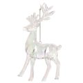 Acrylic reindeer ornaments for Christmas tree, 14cm, 4 pieces | Floristik24.ie