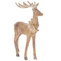 Floristik24 Decorative figurine of a deer with antlers, for standing, Christmas decoration, 28cm