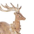 Decorative figurine of a deer with antlers, for standing, Christmas decoration, 28cm | Floristik24.ie