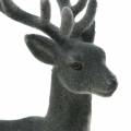 Floristik24 Deco deer flocked gray 20cm 2pcs