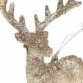 Floristik24 Christmas tree decorations reindeer champagne glitter 15cm 6pcs