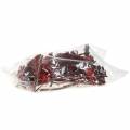 Repens Rosette Red 8cm - 9cm 25 pcs | Floristik24.ie