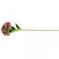 Floristik24 Hydrangea artificial pink, Bordeaux artificial flower large 80cm