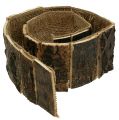 Floristik24 Bark ring band natural 10cm 1m
