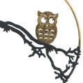 Floristik24 Window decoration owl on branch autumn, decorative ring metal 22cm