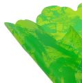 Floristik24 Rondella cuffs Ø38cm green 50pcs