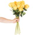 Artificial rose with long stem, artificial flower, 62cm, 12 pieces | Floristik24.ie