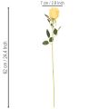 Artificial rose with long stem, artificial flower, 62cm, 12 pieces | Floristik24.ie