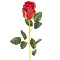 Floristik24 Artificial rose with long stem, red artificial flower, 62cm, 12 pieces