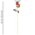 Artificial rose with long stem, red artificial flower, 62cm, 12 pieces | Floristik24.ie