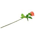 Floristik24 Rose artificial flower salmon 67.5cm