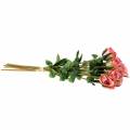 Floristik24 Rose old rose 42cm 12p