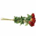 Floristik24 Rose red 42cm 12pcs