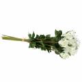 Floristik24 Rose white 42cm 12pcs