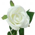 Floristik24 Rose white 44cm for decoration 6pcs