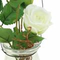 Floristik24 Rose in glass white H23cm