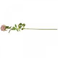 Floristik24 Deco rose pink, flower decoration, artificial rose L74cm Ø7cm