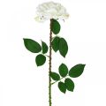 Floristik24 White Rose Fake Rose on Stem Silk Flower Fake Rose L72cm Ø13cm