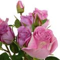 Floristik24 Bouquet of roses old pink 40cm