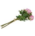 Floristik24 Bouquet of roses old pink 40cm