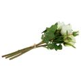 Floristik24 Rose bouquet cream 40cm