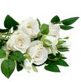 Floristik24 Bouquet of roses white L46cm