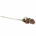 Floristik24 Artificial rose branch violet 76cm